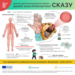 1_сказ
