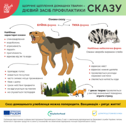 2_сказ