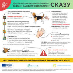 3_сказ