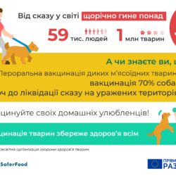 3_Vaccination_Rabies