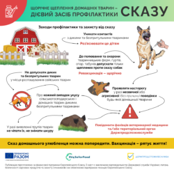 4_сказ