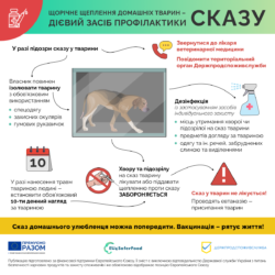 5_сказ