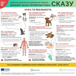 Міфи та реальність