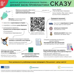 сказ 1