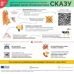 сказ 2